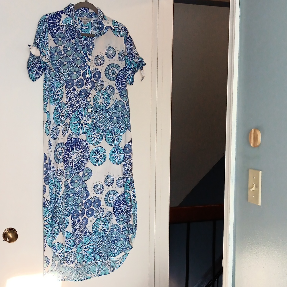 Blue Patterned Button-Front Maxi Dress - image 7